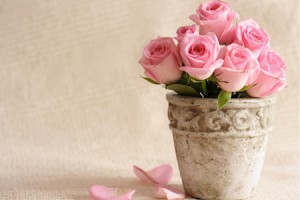 【らくらく風水】ピンクのバラ飾ると結婚運アップ！