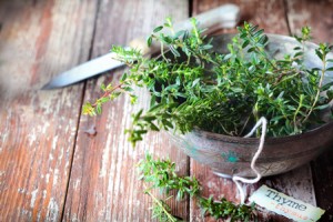 節約ベタは、キッチンの真ん中に観葉植物を置こう！