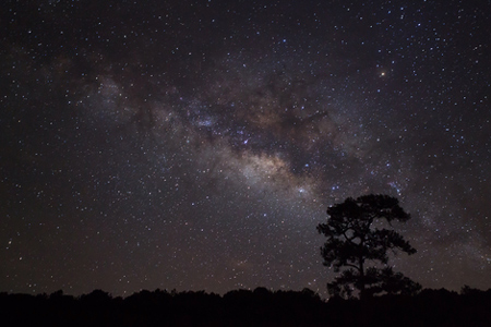 6月27日は蟹座の新月 幸運の星・木星の恩恵と、深い愛情を感じられる日 6月27日は蟹座の新月 幸運の星・木星の恩恵と、深い愛情を感じられる日