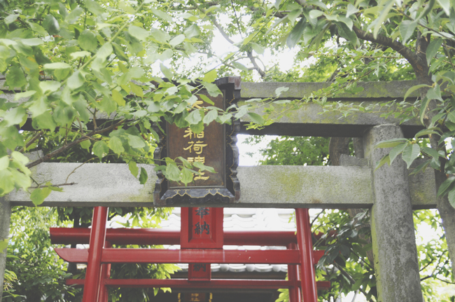 GWに訪れたい恋愛パワースポット【四国編】『大山祇神社』の楠に縁結びパワーをいただこう GWに訪れたい恋愛パワースポット【四国編】『大山祇神社』の楠に縁結びパワーをいただこう