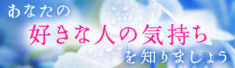 パシンペロン:今あなたを好きな人.480.140