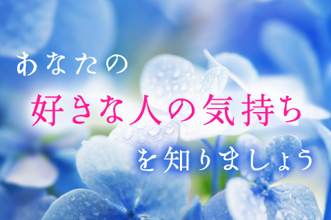 【無料占い】好きな人ができたら、気になるのは相手の自分への気持ちですよね?