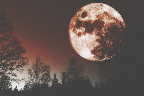 12月25日は今年最後の満月　蟹座満月の力で、居心地のいい環境をつくろう！